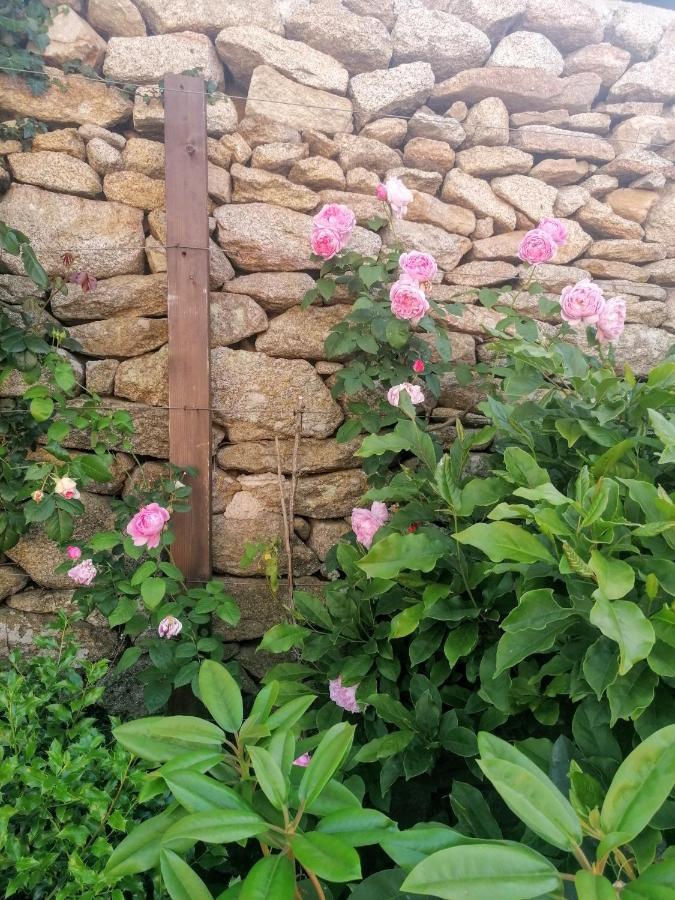 Rosas Da Granja - Casa De Campo Luaran gambar