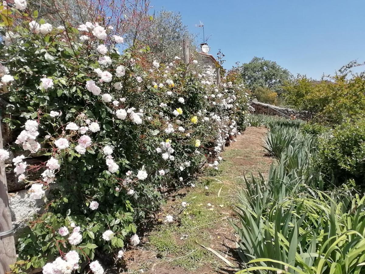Rosas Da Granja - Casa De Campo Luaran gambar